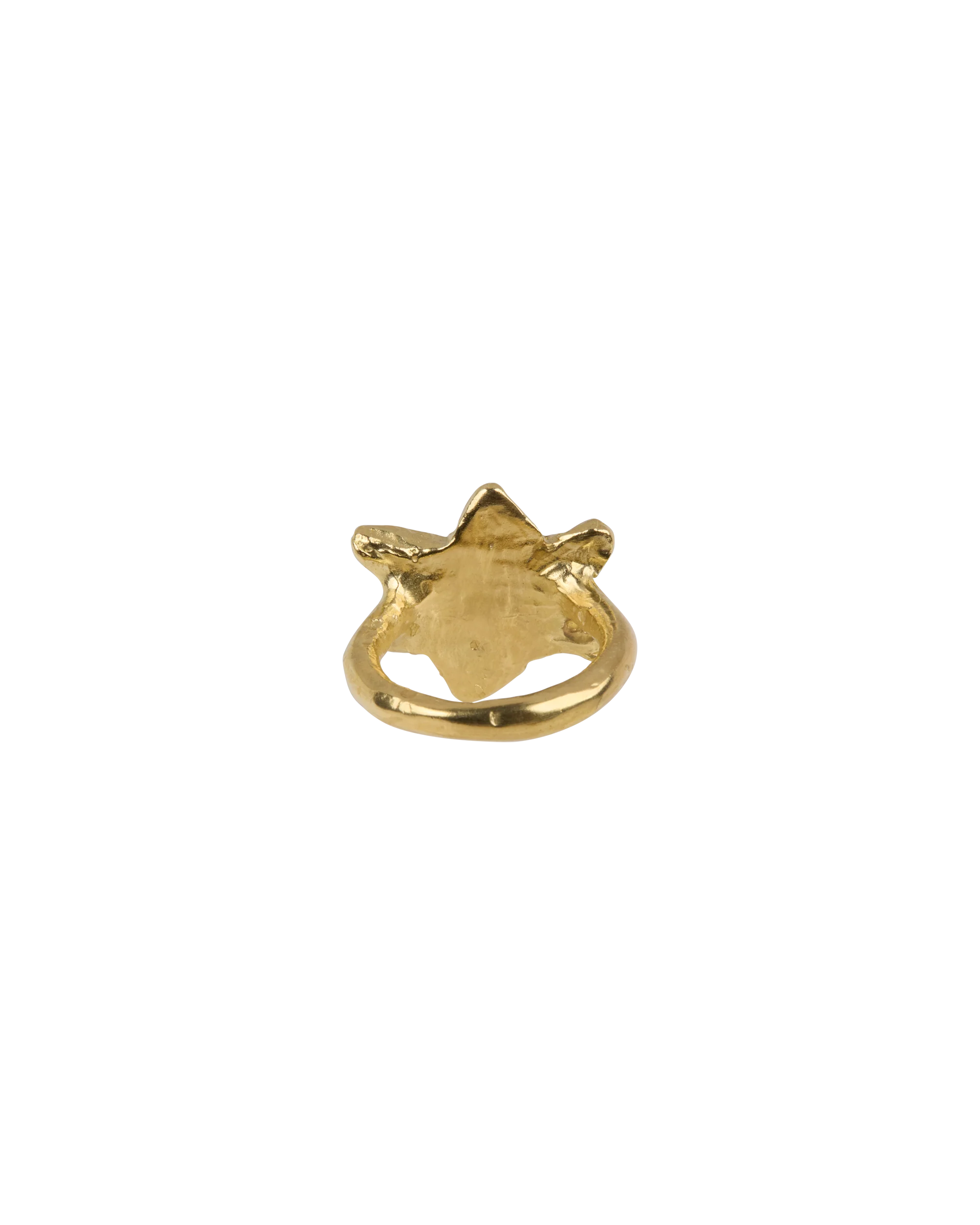 Stardust Memory Ring - Image 4